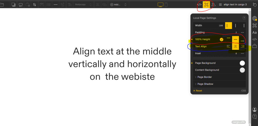 align text middle of the page in cargo 3
