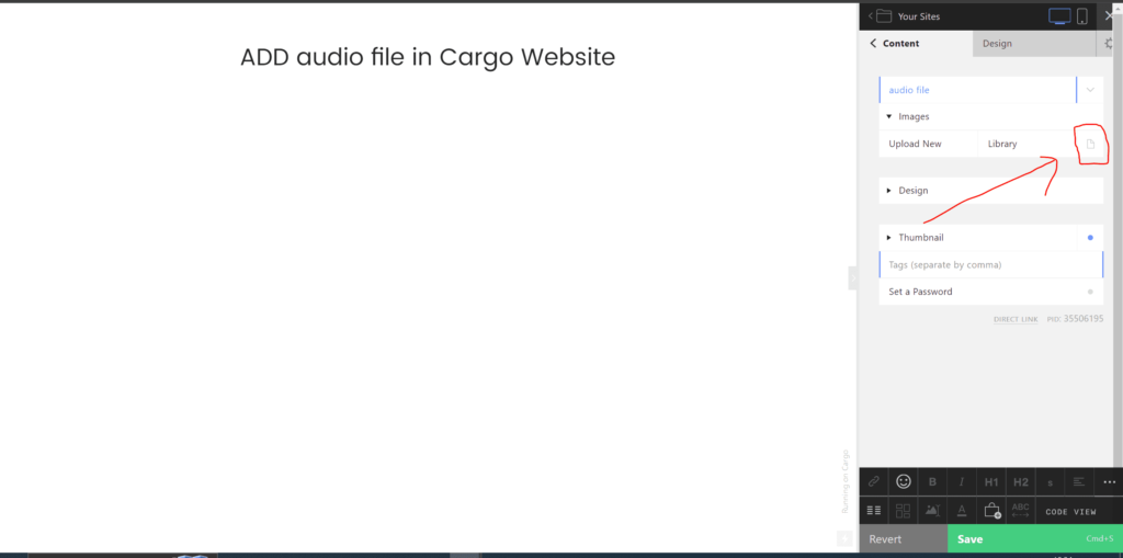 add audio file in cargo 2