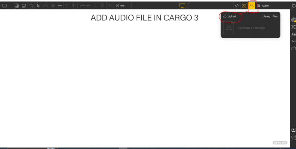 add audio file in cargo 3