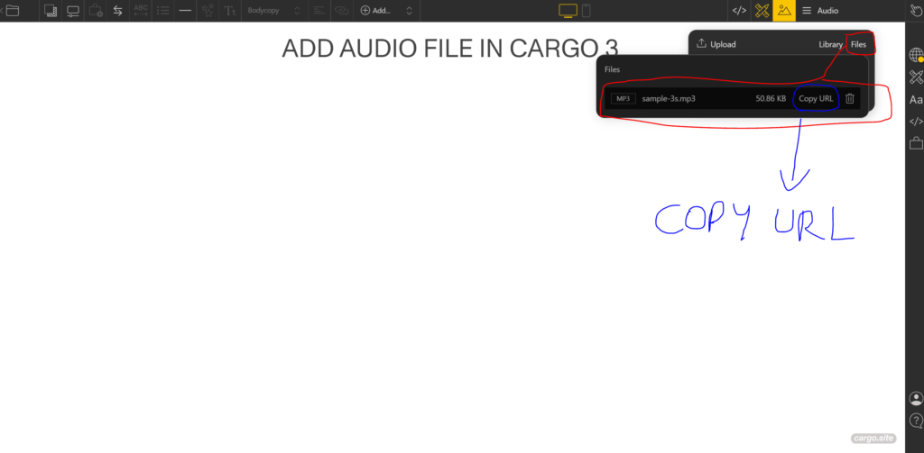 add audio url in cargo collective 3 site