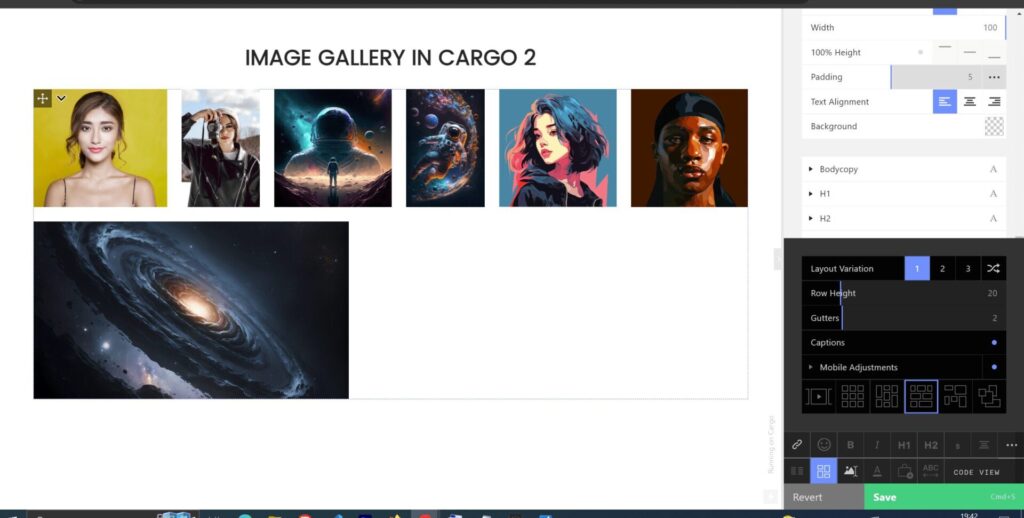 image grid in cargo 2