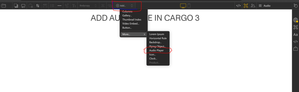 add audio url in cargo collective 3
