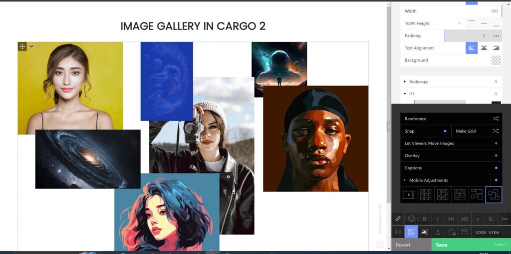 image gallery in cargo collective website