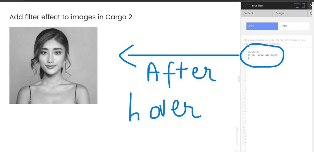 add filter on hover in cargo collective site tutorial