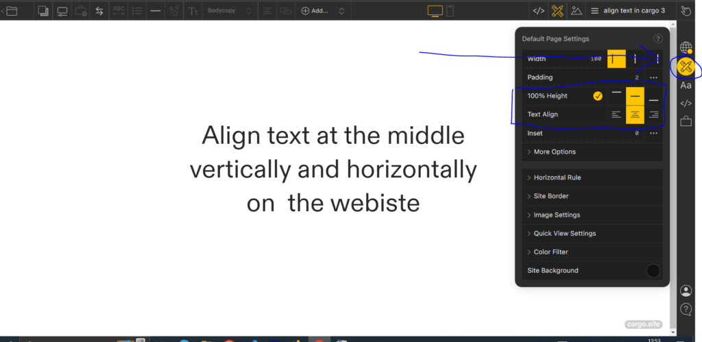 align text middle of the page in cargo 3