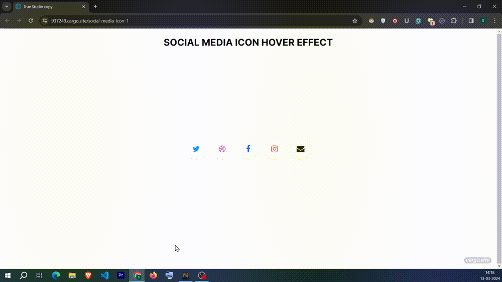 Add Social Media icons with hover effect in Cargo Site