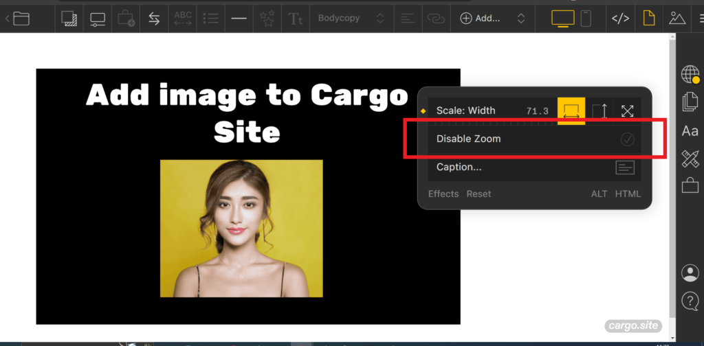 zoom image in cargo site