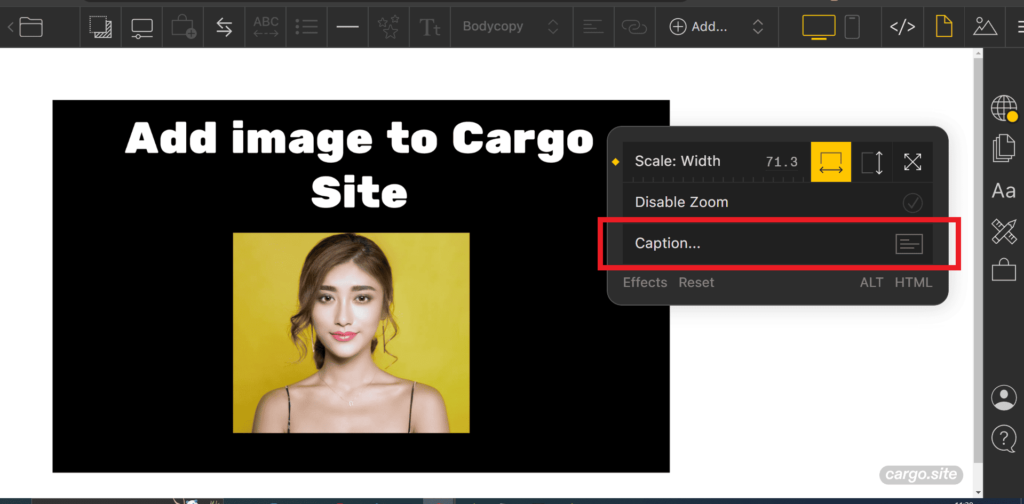 add image caption in cargo site