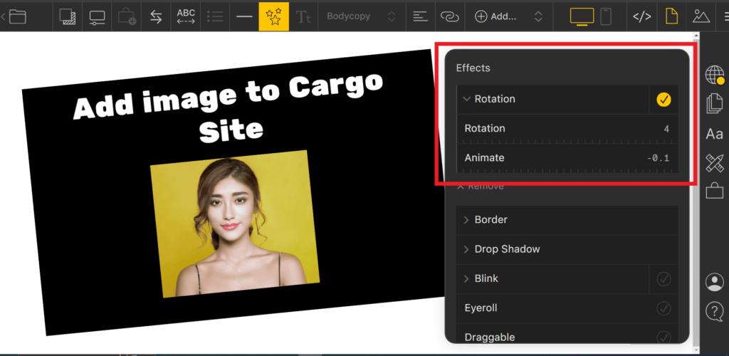 rotate image in cargo site
