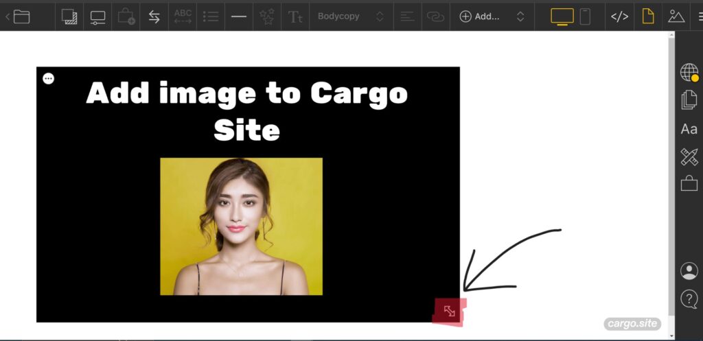 resize image in cargo site