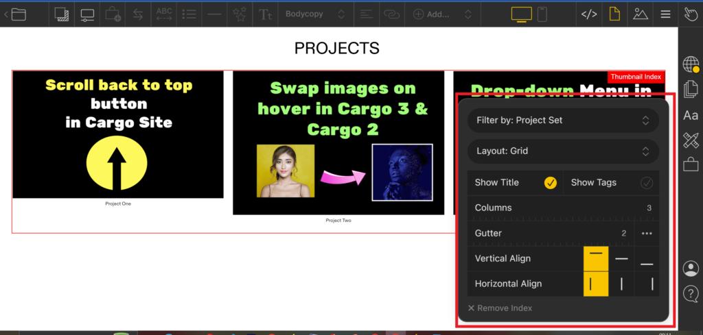 thumbnail hover index in cargo 3